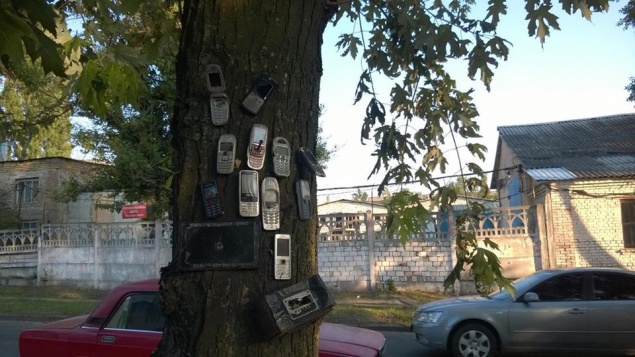 В Голосеевском районе выросло “телефонное дерево”