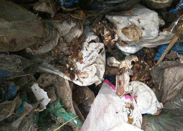 Под Киевом сбросили еще 60 тонн львовского мусора