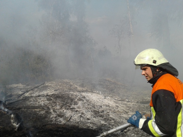 На Киевщине за сутки 11 раз загорался мусор (фото)