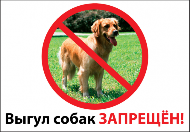 В Киеве запретили выгуливать домашних животных на территории садиков, школ и медучреждений
