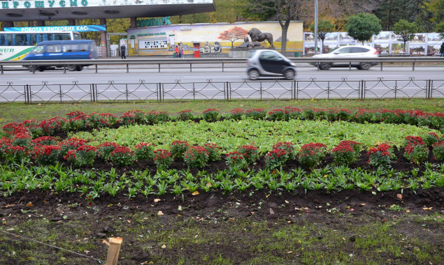 Вдоль проспекта Победы в Киеве высадили 120 деревьев и почти 15 тысяч цветов (фото)