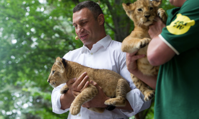 Кличко: Киевский зоопарк будет одним из самых современных зоопарков Европы