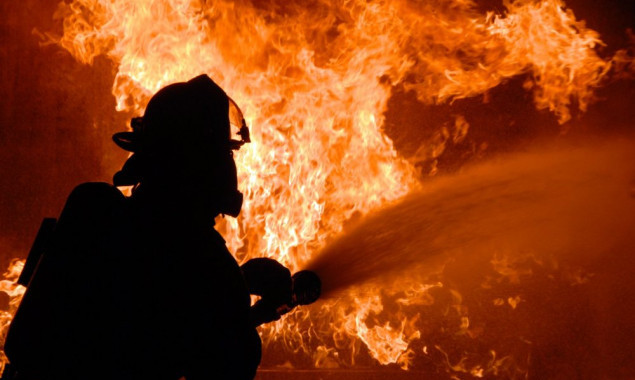 Спасатели на Киевщине во время тушения пожара обнаружили тело хозяйки дома