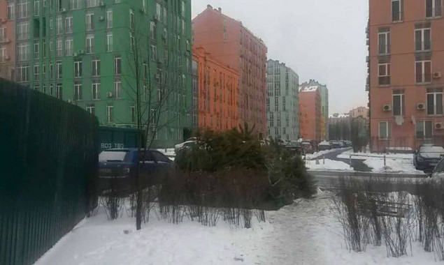 Пункты приема елок “Киевзеленстроя” будут работать до 1 февраля (адреса)