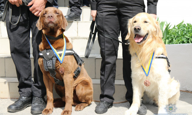 Во время проведения финала Лиги Чемпионов УЕФА в Киеве безопасность будут обеспечивать более 100 служебных собак (фото, видео)