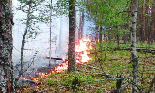 Спасатели Киевщины вовремя остановили пожар в Чернобыльской зоне