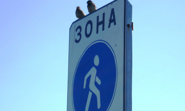 Главу Дарницкого района просят угомонить автохамов, которые объезжают пробки по пешеходной зоне