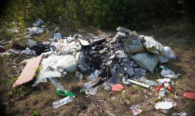 Берега озера Небреж в Киеве завалены мусором