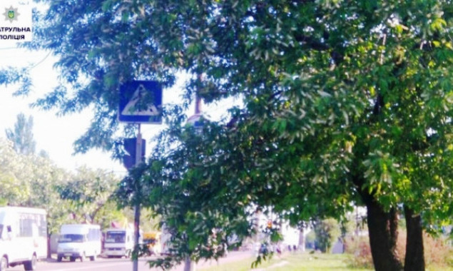 В Голосеевком районе кроны деревьев позакрывали дорожные знаки