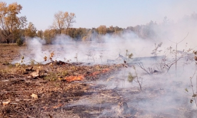 В Киевской области массово горят трава и мусор