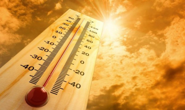 С начала года в Киеве зафиксировали 27 температурных рекордов
