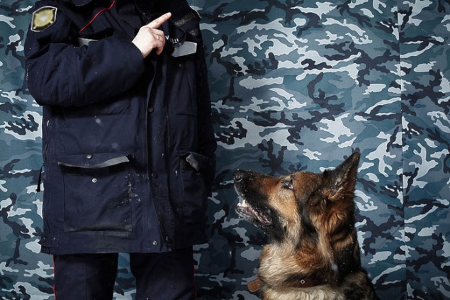 В Киевской области мужчина натравил собаку на милиционеров
