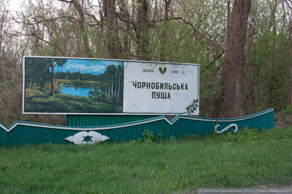 Противопожарная обстановка под Чернобылем на 2 мая