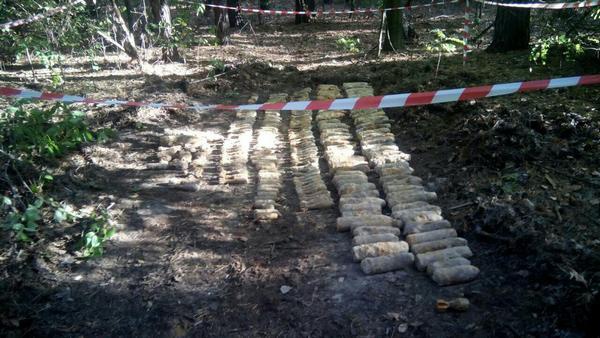 В Дарницком лесу под Киевом пиротехники раскопали 1036 снарядов времен ВОВ (видео)