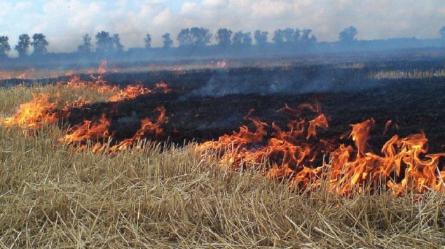 В Киеве ожидается чрезвычайная пожарная опасность до пятницы
