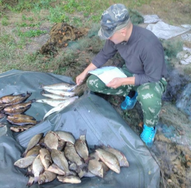 За выходные рыбные патрульные Киевщины изъяли более 300 кг незаконно выловленной рыбы