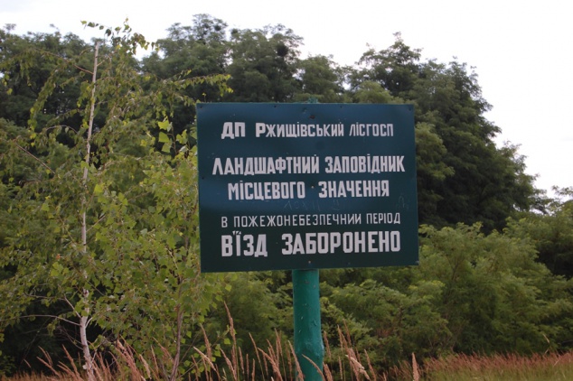 Прокуратура Киевщины открыла уголовные дела на чиновников, виновных в вырубке леса в заповеднике