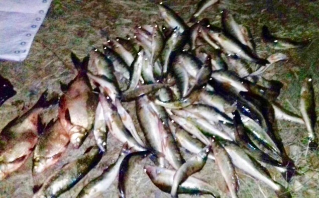 Рыбоохранный патруль на Киевщине задержал браконьеров