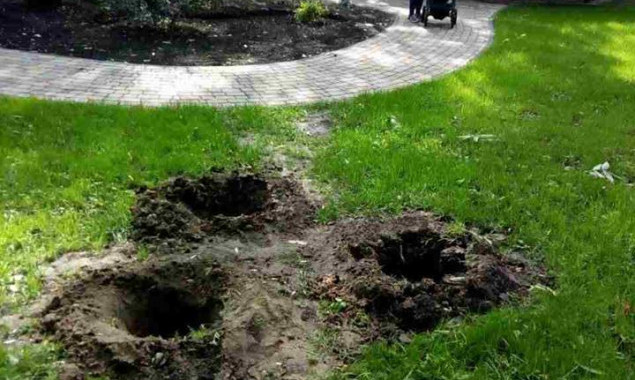 Неизвестные в Киеве украли саженцы туй из парка (фото)