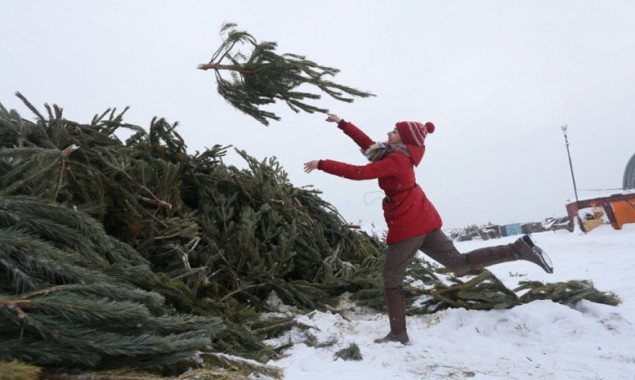 В Киеве уже со 2 января начнут работать 15 пунктов утилизации новогодних елок (адреса)