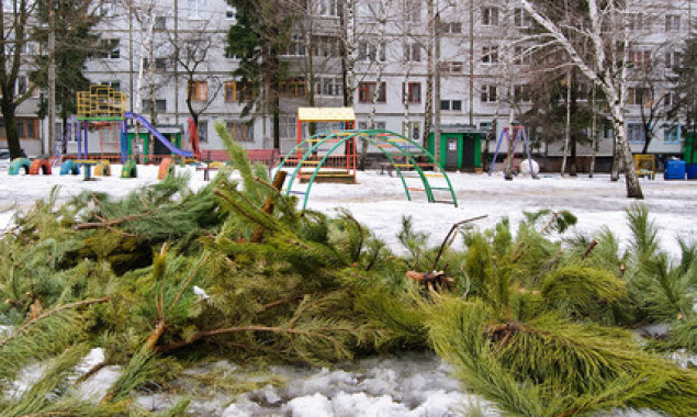 В Ирпене с 15 января заработают пункты приема новогодних елок (адреса)