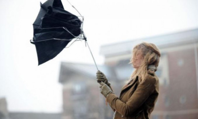 В Киеве объявлен желтый уровень опасности из-за сильного ветра