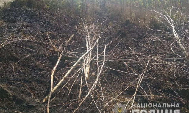 В воскресенье на Киевщине было зафиксировано 68 пожаров на общей площади 71 га