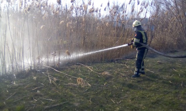 За последние сутки спасателям Киевщины пришлось 92 раза тушить горящую сухую растительность (фото, видео)