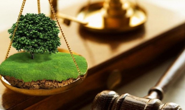 Прокуратура через суд вернула государству 12 гектар земель лесного фонда в Обуховском районе Киевщины