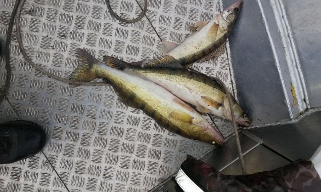 За сутки Киевский рыбоохранный патруль выявил 10 фактов ловли рыбы на зимовальных ямах (фото)