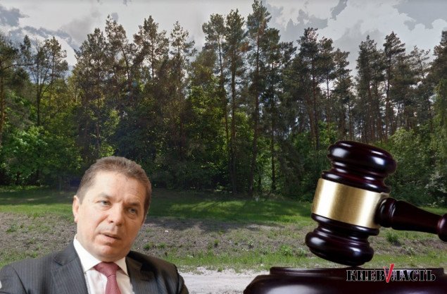 Фирма из окружения экс-премьера Азарова не отдает Киевсовету 10 га столичной земли