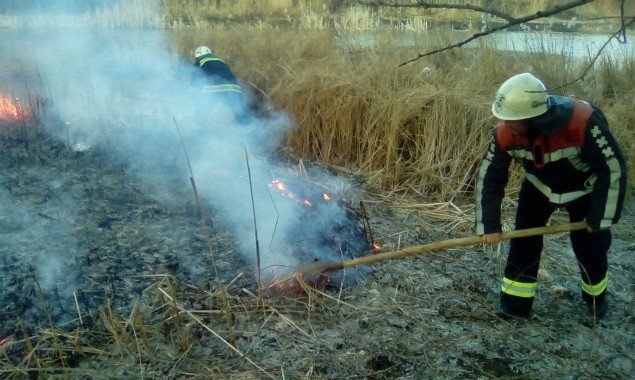 На минувшей неделе в Киеве возникло 53 пожара в экосистемах