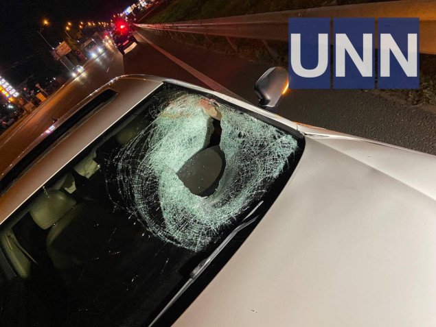 В Киеве на Окружной дороге пьяный иностранец погиб в результате столкновения с автомобилем (фото)