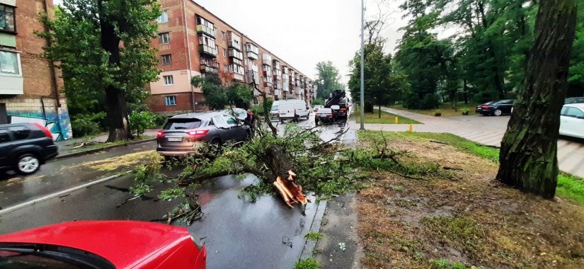 “Киевзеленстрой” информирует о 100 обращениях из-за поваленных и сломанных  деревьев вследствие непогоды (фото)