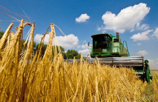 Правительство рассчитывает на рекордный урожай зерновых