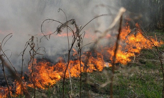 До 5 августа в Киеве будет преобладать чрезвычайный уровень пожарной опасности