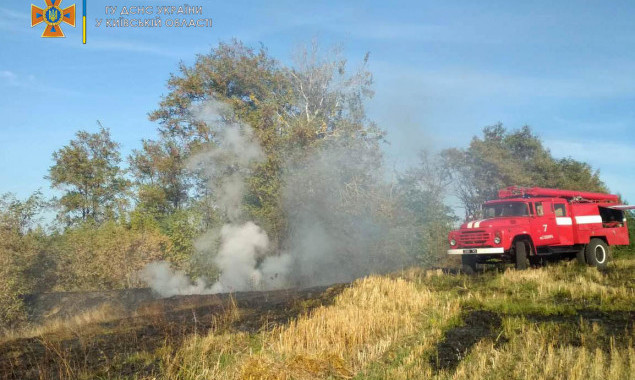 За прошедшие сутки спасатели Киевщины более 20 раз выезжали на пожары в экосистемах