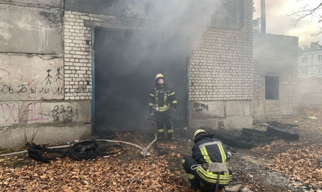 В Дарницком районе столицы спасатели ликвидировали пожар на стихийной свалке (фото)
