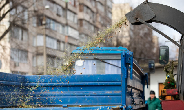 В этом году в Киеве на утилизацию сдали на треть больше елок, чем годом ранее (фото)