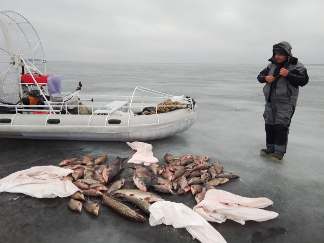 В Киевской области экоинспекция изъяла у рыбаков более 100 кг рыбы