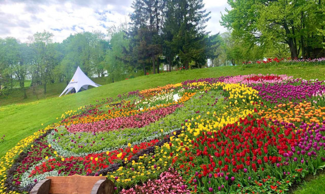 На Співочому полі розцвіло півмільйона тюльпанів, киян запрошують до парку