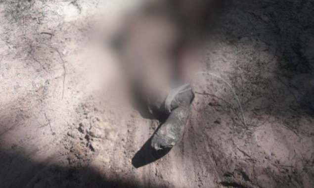 На Київщині у лісосмузі виявили тіло закатованого мирного мешканця