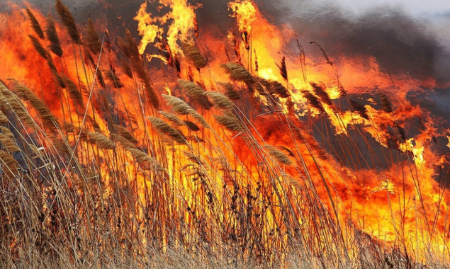 Мешканців Київщини попереджають про надзвичайний рівень пожежної небезпеки
